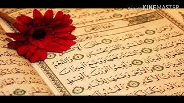 سورة الرحمن بصوت القارئ صلاح بو خاطر