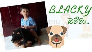 Cute Baby Jayathu Divan Blacky Bawwa