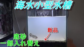 底砂の一部定期交換してみた！　海水小型水槽編