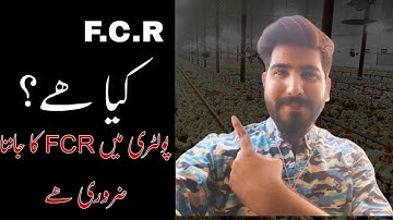 FCR In Poultry Farming | Definition and Calculation Of Feed Conversion Ratio | Shakeel Fancy Poultry