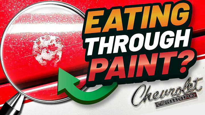 How to Fix ETCHING from Bird Droppings! (Clear Coat Damage Repair)