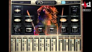 MegaDRUM & Roland BT-1