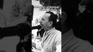 MEHMET GÖKPINAR-GİTTİN GİDELİ Resimi