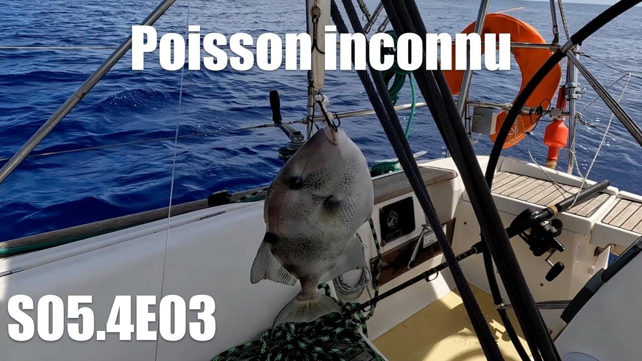 ⁣Est-ce que je le mange ? - S05.4E03 / (Bag-Bihan)