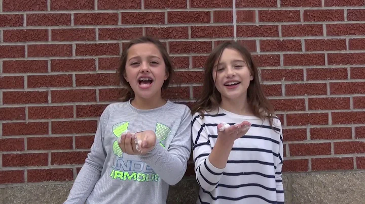 "Eye of the Tiger" - LCSD Lip Sync