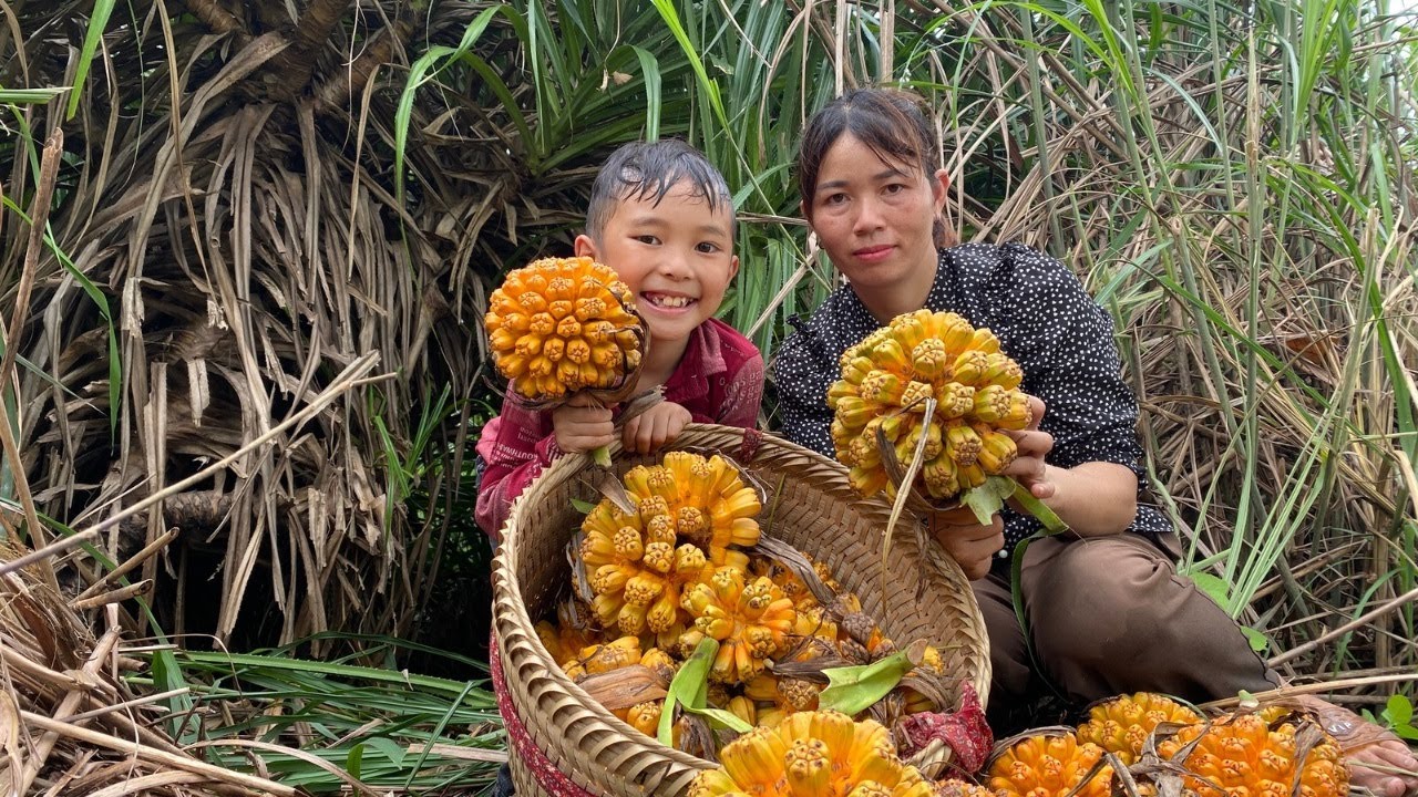 Harvest sea pineapples and sell them at the market - Earn extra money ...