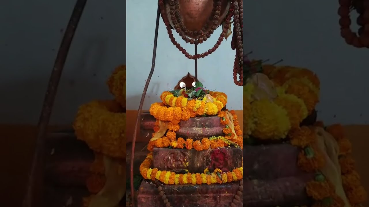 HAPPY MAHA SHIVARATRI. HARA HARA MAHADEV🌺🌹🔱🕉️🙏🙏🙏 #bileeyvlog