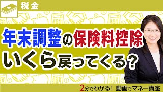 年末調整の保険料控除 戻ってくる金額はいくら 初心者でもわかる税金 Youtube