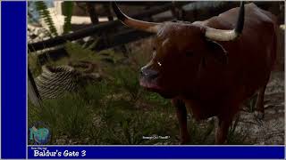 OC Lore? More! MORE! | Baldur's Gate 3
