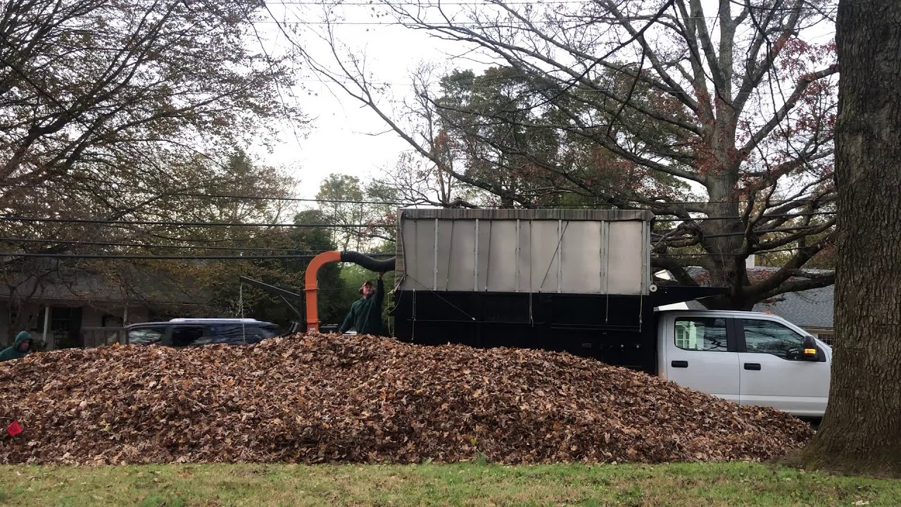 Blowing leaf YouTube