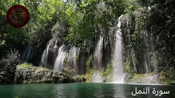 سورة النمل | بصوت القارئ : عبدالله العليان