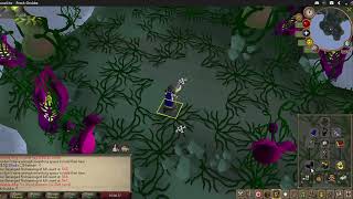 Deranged Archaeologist - OSRS Fresh Grubbs - Void + swamp trident setup
