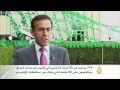 مرشحا من عشرين كيانا انتخابيا
