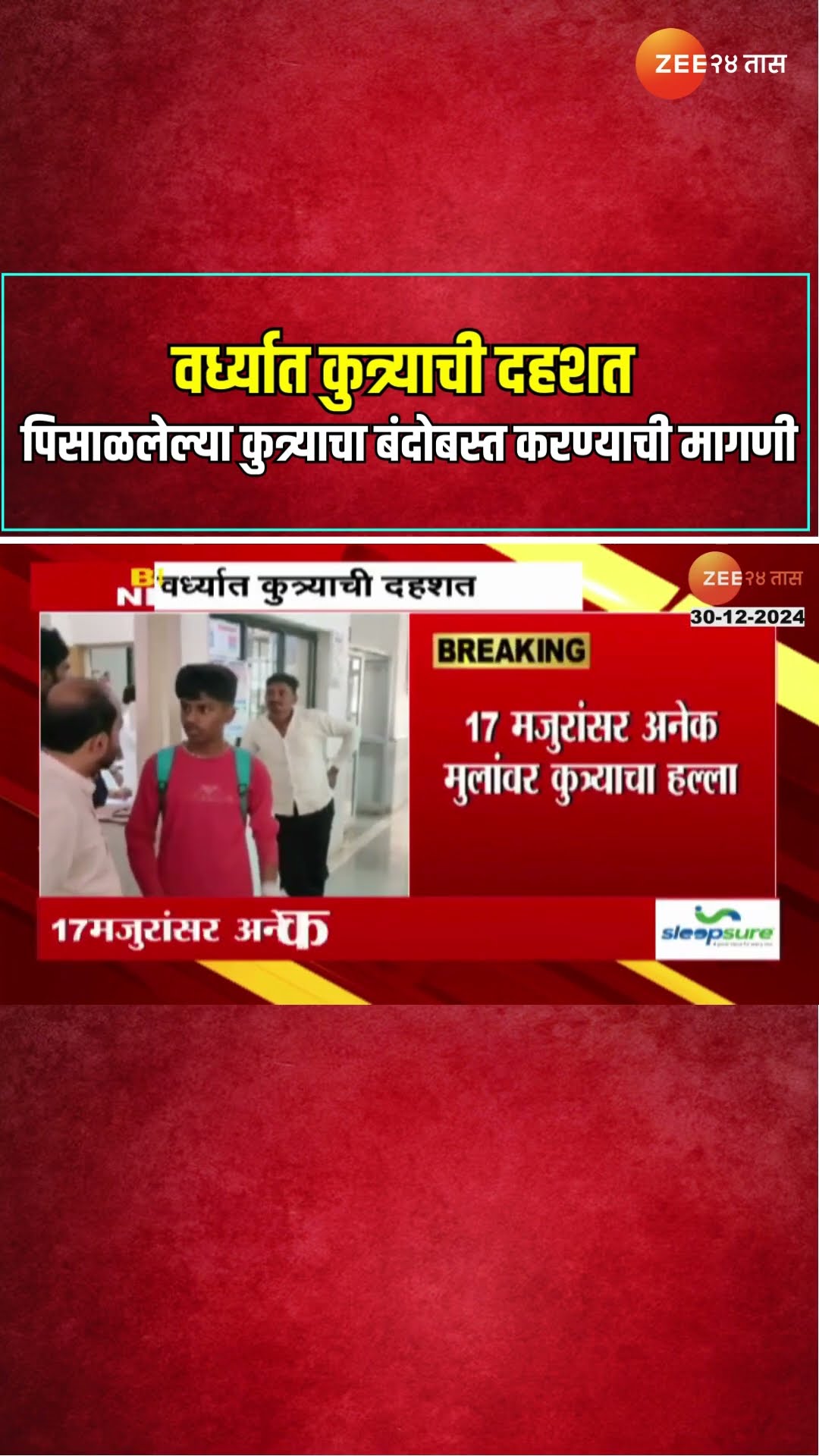 Wardha | वर्ध्यात कुत्र्याची दहशत ; पिसाळलेल्या कुत्र्याचा बंदोबस्त करण्याची मागणी