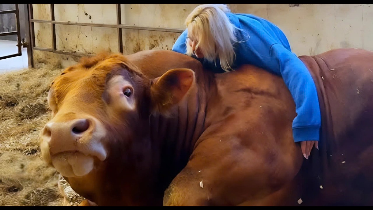 These Animals Didn’t Forget Their Owners After Years Apart ❤️ Best Reunions 2025