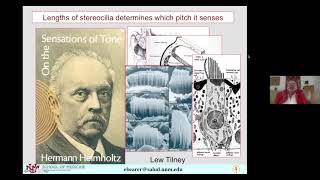 "Neuroscience of Music" with Elaine Bearer, MD/PhD ’83