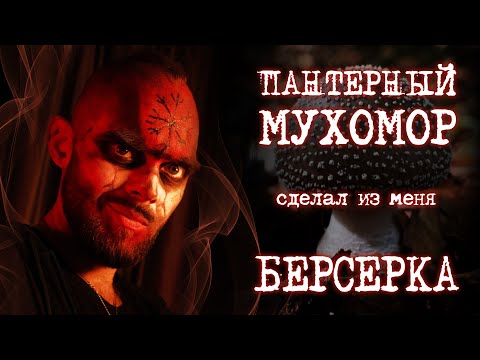 ПАНТЕРНЫЙ МУХОМОР | ПОЛНЫЙ ГАЙД от А до Я и ЛИЧНЫЙ ОПЫТ