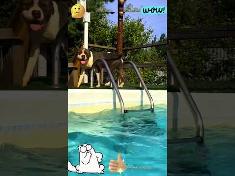Заветное Слово🤣 #юмор#funny #смешно#прикол #funnyvideo #приколы#смех #ржака#собака #щенок#пес#вода