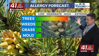 Pollen levels spiking across Middle Georgia