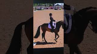Catherine Durfour and Mount Saint John Freestyle at Falsterbo
