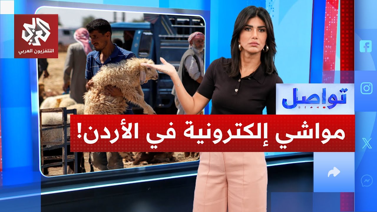 سند .. حملة ترقيم إلكتروني لرؤوس الغنم في الأردن تثير الجدل | تواصل