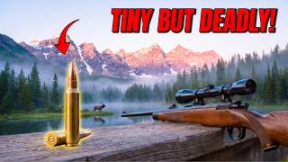 6 Tiny Calibers That Embarrass Every Magnum on the Market!