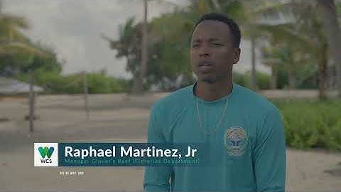 Using Technology to Manage Marine Protected Areas   WCS Belize