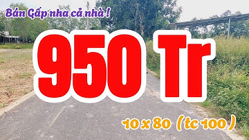 Đất Dầu Tiếng | bán gấp lô đất siêu đẹp 10 x 80 ( tc 100 ) Giá rẽ#574