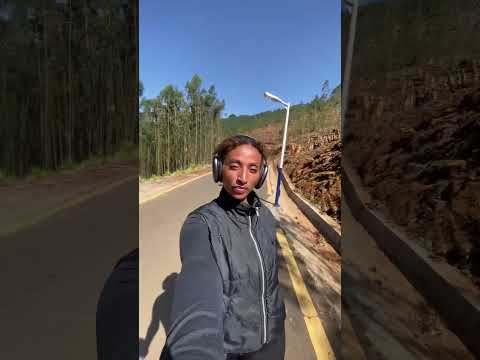 Things to do in Addis Ababa — Hiking in Entoto park | Gizzy Taye