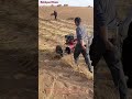 The Desert Magic Machine! #Shorts