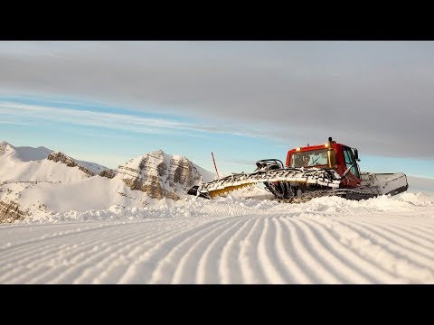 Vídeo: Per què és important el grooming a la indústria de l'aviació?