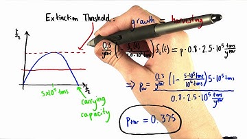 By-Catch Extinction - Differential Equations in Action