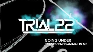 EVANESCENCE/ANIMAL IN ME - Going Under (TRIAL22 Cover)