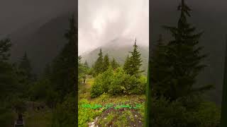 من رحلتي الى جورجيا nature forest طبيعه جورجياالصيف