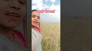 #chaitr @ka kam#😶🌫️