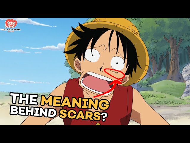 The Meaning Behind the Scars in One Piece | Video Essay class=