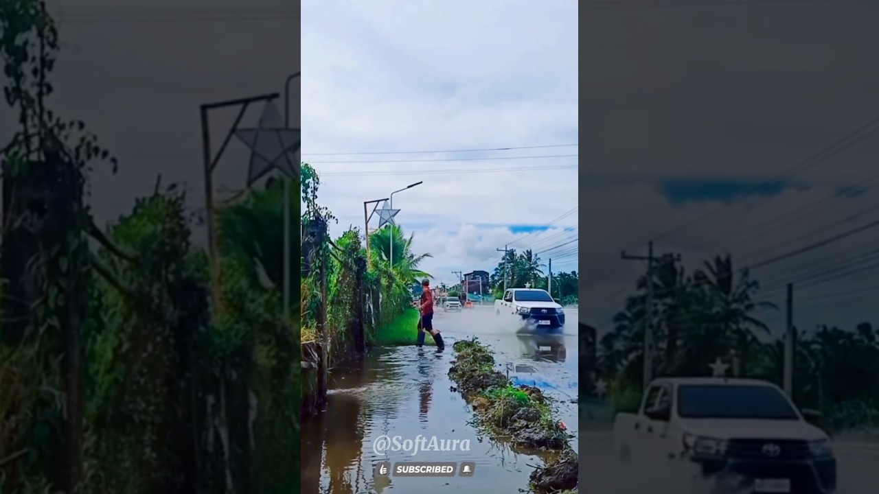 Kindness is a Choice: Restoring a Neglected Space for Free ✨