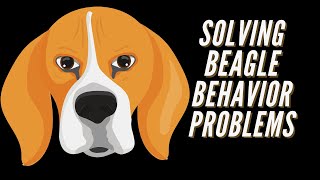 Solving Beagle Behavior Problems That Really Bug You