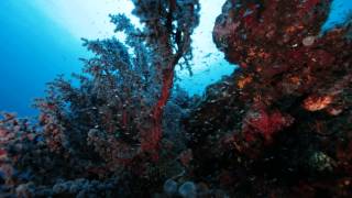 Sumer Verma Shoots Luminousdeep Showreel Final