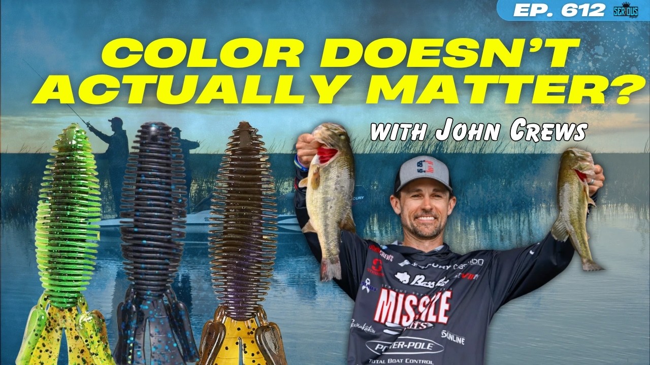Bait Color Doesn't Actually Matter? (PRO's Thoughts)