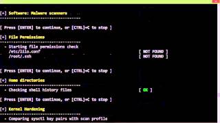 Lynis Audits Demo