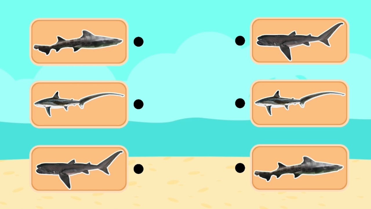 kids-games-kids-videos-best-brain-games-app-brain-games-apps-for