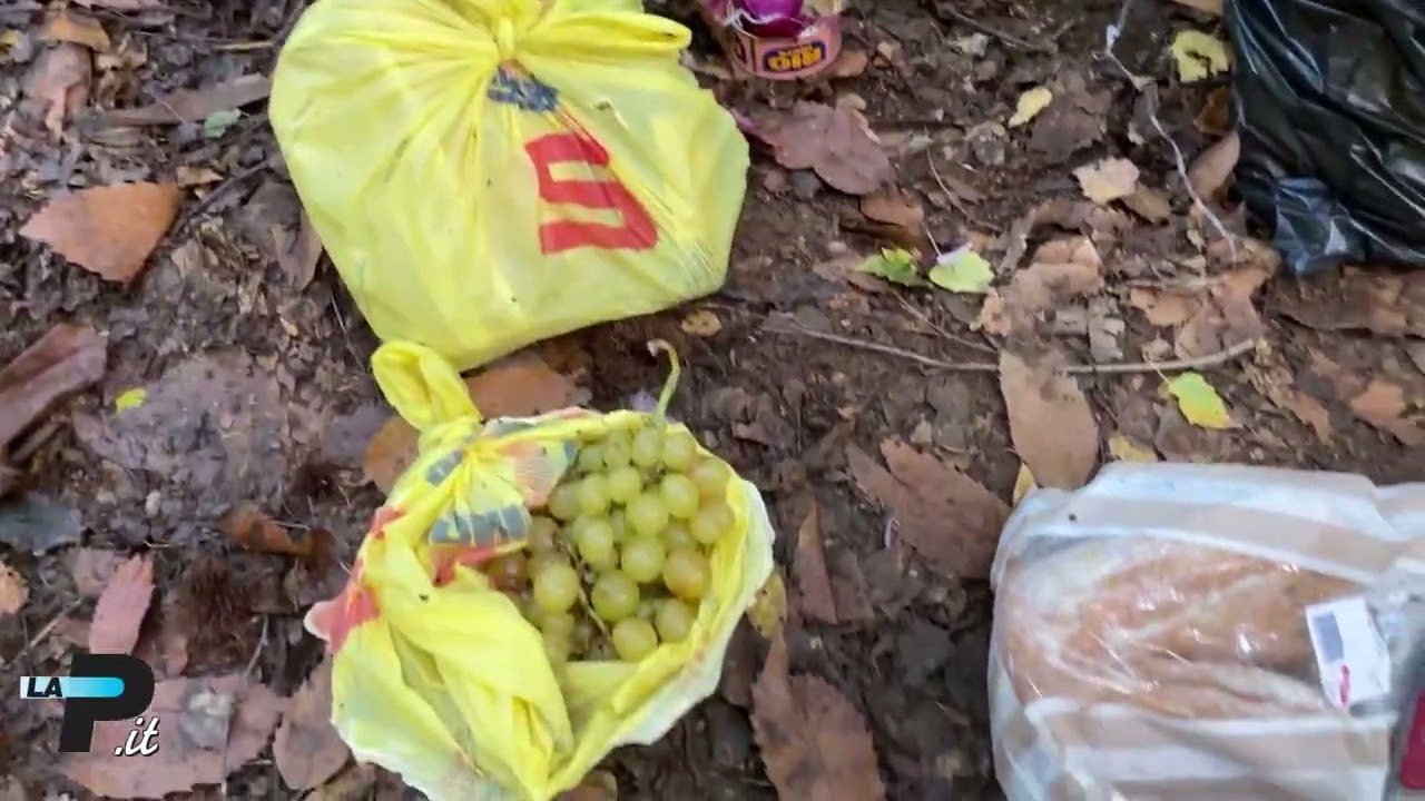 “Tradate, basta droga nei boschi”