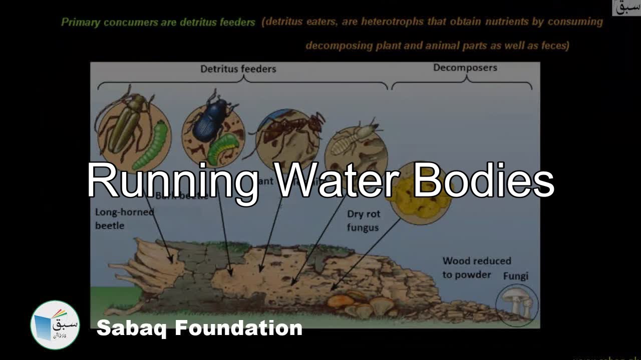 Video Sabaq Foundation