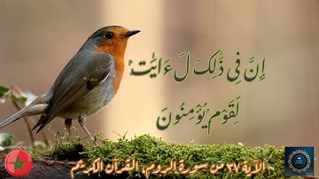 الآية ٣٧ من سورة الروم، القرآن الكريم