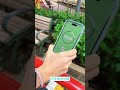 【JLab】JBuds Sport ANC 4 運動降噪無線藍牙耳機｜3種ANC、空間音訊、IP66強效防塵防水