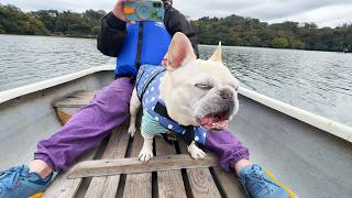 旅行中めちゃくちゃ犬が話すから翻訳してみた【犬とお出かけ関東】