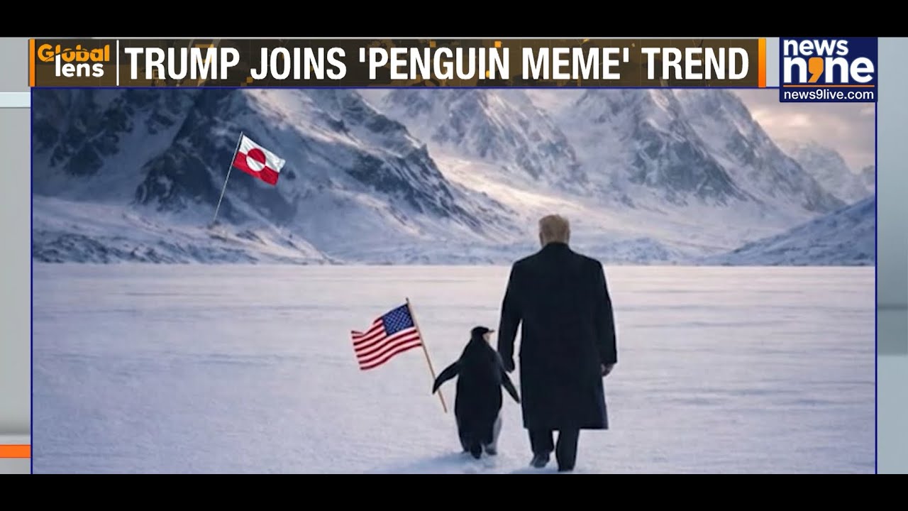 White House Shares 'Embrace The Penguin' Meme Amid Trump Greenland Obsession
