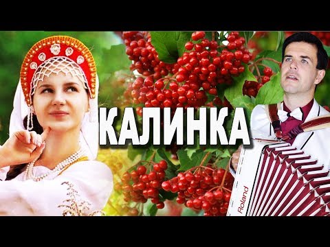 ♫♫♫ ШЕДЕВР РУССКОЙ ПЕСНИ!!! КАЛИНКА под баян + история создания, интересные факты