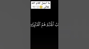 احترم القران الكريم #رمضان #اكسبلور #subscribe #دويتو #الرحمن #لايك #ورك #video #تيك_توك #viralvide